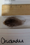 Chickadee's Moorit Rooed 2025