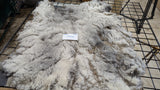 Wrexham's Fleece Grey Sheared 2026