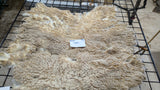 Leyton's Fleece White Sheared 2026