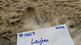 Leyton's Fleece White Sheared 2026