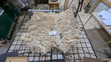 Lucretia's Fleece White Sheared