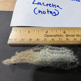 Lucretia's Fleece White Sheared