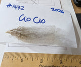 CioCio's Fleece Grey Sheared 2026