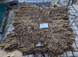 Adele's Fleece Moorit Sheared 2026