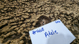 Adele's Fleece Moorit Sheared 2026