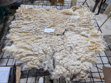 Liverpool's Fleece White Sheared