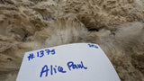Alice Paul's Fleece Fawn Sheared