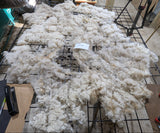Alice Paul's Fleece Fawn Sheared