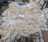 Bristol's Fleece White Sheared