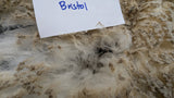 Bristol's Fleece White Sheared
