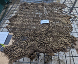 Salome's Fleece Moorit Sheared