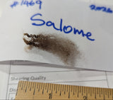 Salome's Fleece Moorit Sheared