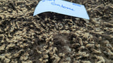 Salome's Fleece Moorit Sheared