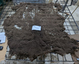 Salome's Fleece Moorit Sheared