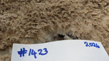 Hero's Fleece Fawn Sheared 2026