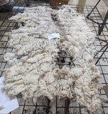 Hero's Fleece Fawn Sheared 2026