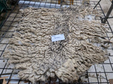Blackburn's Fleece Grey Sheared 2026