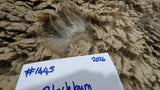 Blackburn's Fleece Grey Sheared 2026