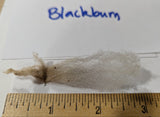 Blackburn's Fleece Grey Sheared 2026