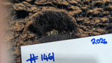 Mimi's Fleece Black Sheared