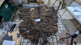 Lokola's Fleece Black Sheared