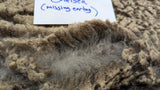 Chelsea's Fleece Grey Sheared