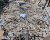 Isolde's Fleece Grey Sheared