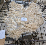Shortcake's Fleece White Sheared