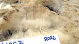 Shortcake's Fleece White Sheared