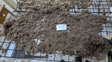 Apple Streudel's Fleece Moorit Rooed