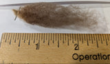 Apple Streudel's Fleece Moorit Rooed