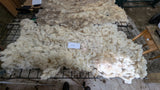 Dove's Fleece White Rooed