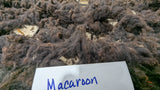Macaroon's Fleece Black Rooed