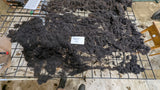 Macaroon's Fleece Black Rooed