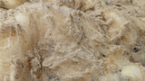 Belva's Fleece White Rooed
