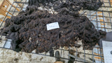 Tiffin's Fleece Black Rooed