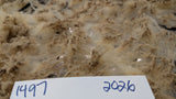Zerlina's Fleece Fawn Rooed