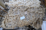 Zerlina's Fleece Fawn Rooed