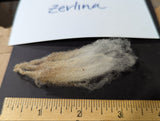 Zerlina's Fleece Fawn Rooed