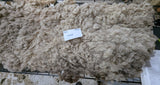 Wren's Fleece Fawn Rooed