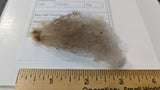 Wren's Fleece Fawn Rooed