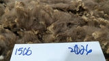 Gingerbread's Fleece Moorit Rooed