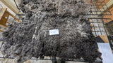 Mrs. Hughes' Fleece Grey Rooed