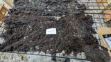 Pumpkin Pie's Fleece Black Rooed