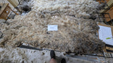 Robin's Fleece Grey Rooed