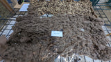 Chickadee's Fleece Moorit Rooed