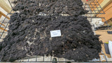 Black Forest's Fleece Black Rooed