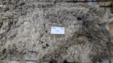 Waffles' Fleece Grey Rooed