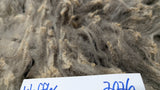 Waffles' Fleece Grey Rooed