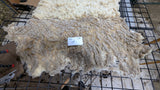 Lark's Fleece White Rooed